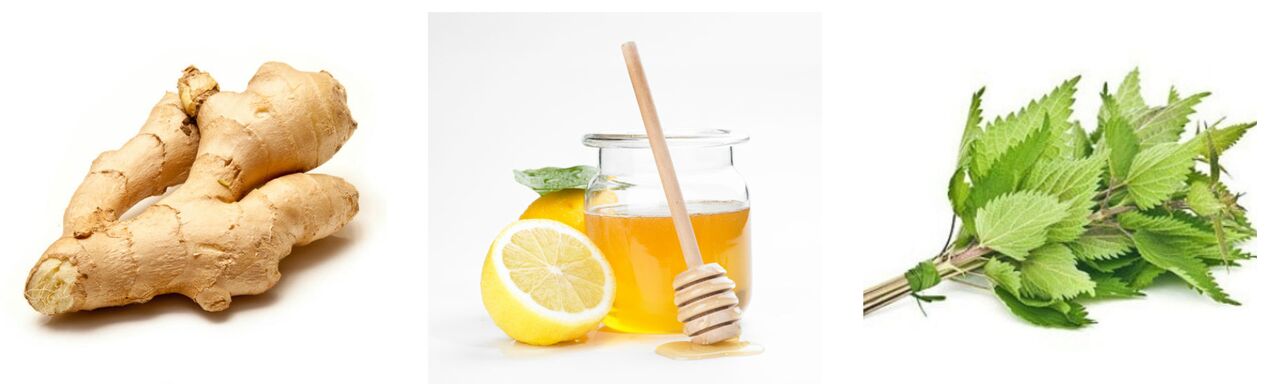 Zenzero di Honey Brace Nettle