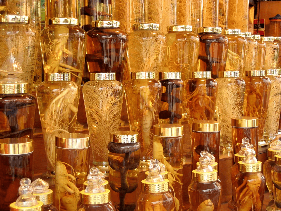 Radice di ginseng per aumentare la potenza